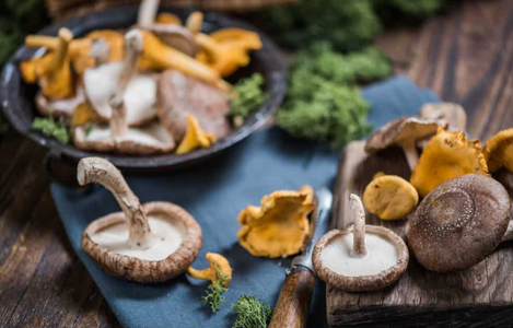 Research report: The role of medicinal mushrooms in cancer
